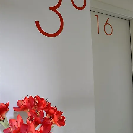 Hotel San Francesco 4*