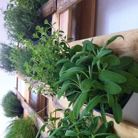 San Francesco 4* Borgomanero